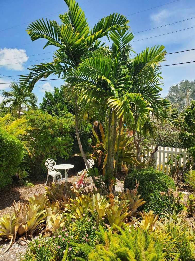 The Butterfly Cottage ماراثون المظهر الخارجي الصورة